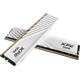 ADATA AX5U5600C4616G-DTLABWH, Hukommelse Hvid
