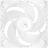 ARCTIC P14 Pro Reverse A-RGB, Sag fan Hvid