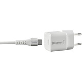Intenso Power Adapter W30C GaN + C315C USB-C Kabel, Oplader Hvid