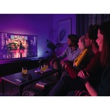 Philips Hue Play light bar 2-pak, LED lys Sort, Philips Hue White and Color ambiance Play light bar 2-pak, Intelligent panel, Sort, ZigBee, Integreret LED, Ikke-udskiftelig pære(r), Kold hvid, Varm hvid, Hvid