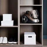 Rowenta Compact Power XXL RO4B50 2,5 L Beholder vakuum Dry 900 W Poseløs, Gulv støvsuger grå/Sort, 900 W, Beholder vakuum, Dry, Poseløs, 2,5 L, Filtrering
