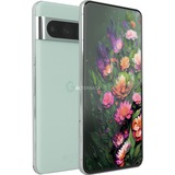 Google Mobiltelefon Mynte