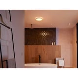 Philips Hue White Ambiance Devere Loftlampe M, LED lys Sølv