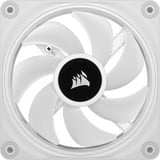 Corsair iCUE LINK QX120 RGB 120 mm PWM blæser, Sag fan Hvid