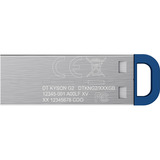 Kingston DataTraveler Kyson 256 GB, USB-stik Sølv/Blå