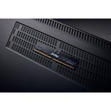 Kingston FURY FURY 16GB 6400MT/s DDR5 ECC Reg CL32 DIMM Renegade Pro EXPO, Hukommelse Sort, 16 GB, 1 x 16 GB, DDR5, 288-pin DIMM, Sort