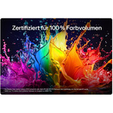 LG 55QNED83B6A.AEUD, QNED TV Sort