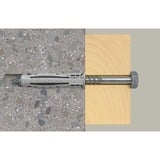 fischer SX Plus 10x50, 567900, Dyvel Lys grå