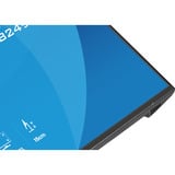 iiyama XB2496HSC-B1, LED-skærm Sort (mat)