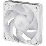 ARCTIC Freezer P12 Pro A-RGB (White) Computerkabinet Ventilator 12 cm Hvid 3 stk, Sag fan Hvid, Ventilator, 12 cm, 131 m³/t, Hvid