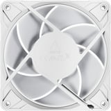 ARCTIC Freezer P12 Pro A-RGB (White) Computerkabinet Ventilator 12 cm Hvid 3 stk, Sag fan Hvid, Ventilator, 12 cm, 131 m³/t, Hvid