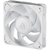 ARCTIC Sag fan Hvid