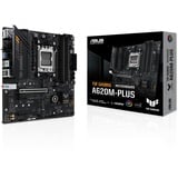 ASUS 90MB1EZ0-M0EAY0, Bundkort 
