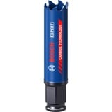 Bosch Expert 2608900419 hulsav Boremaskine 1 stk Enkelt, Boremaskine, Mursten, Plast, Rustfrit stål, Flise, Træ, Blå, 6 cm, 2 cm