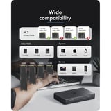 ICY BOX IB-3882MSCL-CU31, Docking station Sort