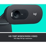 Logitech C505e webcam 1280 x 720 pixel USB Sort Sort, 1280 x 720 pixel, 30 fps, 1280x720@30fps, 720p, 60°, USB, Bulk