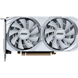 MSI V809-4299R, Grafikkort 