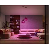 Philips Hue White & Color Ambiance Starter-Set: E27 Smart lampe A60 dobbeltpakke, LED-lampe 