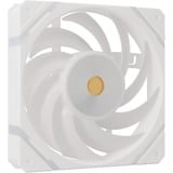 Valkyrie VK-FANX12RW, Sag fan Hvid