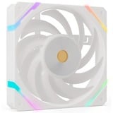 Valkyrie VK-FANX12RW, Sag fan Hvid