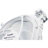 be quiet! Silent Wings 4 PWM 120x120x25, Sag fan Hvid