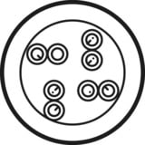 goobay Netværkskabel Cat.6, U/UTP Hvid