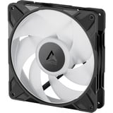ARCTIC P14 Pro A-RGB Computerkabinet Ventilator 14 cm Sort 1 stk, Sag fan Sort, Ventilator, 14 cm, 400 rpm, 2500 rpm, 186 m³/t, Sort