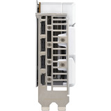 ASUS Dual -RTX5060-O8G-WHITE NVIDIA GeForce RTX 5060 8 GB GDDR7, Grafikkort Hvid, GeForce RTX 5060, 8 GB, GDDR7, 128 Bit, 7680 x 4320 pixel, PCI Express 5.0