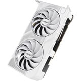 ASUS Grafikkort 