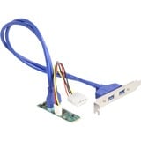 DeLOCK Konverter M.2 Key B+M stik > 2 x USB 5 Gbps Type-A, Interface forlængelse 