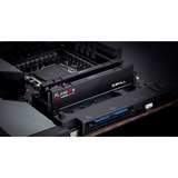 G.Skill F5-6000J3040G32GX2-FX5, Hukommelse Sort