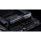 G.Skill F5-8800C4255H24GX2-TZ5CK, Hukommelse Sort