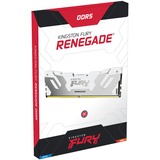 Kingston FURY FURY 32 GB 6400 MT/s DDR5 CL32 DIMM (sæt med 2) Renegade, hvid XMP, Hukommelse Hvid, hvid XMP, 32 GB, 2 x 16 GB, DDR5, 288-pin DIMM