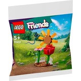 LEGO 30659, Bygge legetøj 