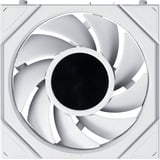 Lian Li UNI FAN TL LCD FLEX 120 Wireless, Sag fan Hvid