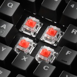 Sharkoon SKILLER SGK30 tastatur USB QWERTZ Tysk Sort, Gaming-tastatur Sort, Standard, USB, Mekanisk, QWERTZ, RGB LED, Sort