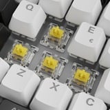 Sharkoon SKILLER SGK50 S3, Gaming-tastatur Hvid, It-layout, Gateron Yellow