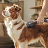 Thomas Pelsplejesæt, 6 dele, Støvsuger tilbehør Sort/grå