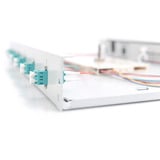 Digitus Fiberoptisk samleboks, 1U, udstyret, 6x LC DX, OM3, Splejse boks 