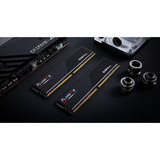 G.Skill F5-6000J2836G48GX4-FX5, Hukommelse Sort