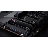 G.Skill F5-6000J2836G48GX4-FX5, Hukommelse Sort