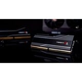 G.Skill F5-6000J3040G32GX2-TZ5N, Hukommelse Sort