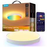 Govee 38cm Intelligent RGBICWW Loftlampe Pro, LED lys 