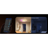 Govee 38cm Intelligent RGBICWW Loftlampe Pro, LED lys 