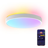 Govee 38cm Intelligent RGBICWW Loftlampe Pro, LED lys 