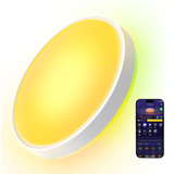 Govee 38cm Intelligent RGBICWW Loftlampe Pro, LED lys 