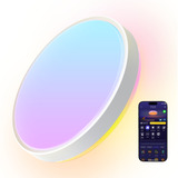 Govee 38cm Intelligent RGBICWW Loftlampe Pro, LED lys 