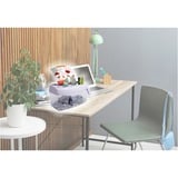 Peach PS300-21 papirmakulator Krydsmakulering 21,6 cm Transparent, Hvid, Dokument shredder Krydsmakulering, 21,6 cm, 3.5 x 40 mm, 4 L, 15 ark, 1 ark