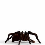Schleich Harry Potter 13987 legetøjsfigur til børn, Spil figur 6 År, Sort, Brun, Hvid, Plast