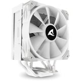 Sharkoon A50 RGB, CPU køler Hvid